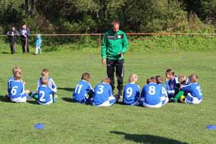 开云入口-欧洲杯总冠军之争：战术智慧与个人能力的较量，欧洲杯冠军百度百科